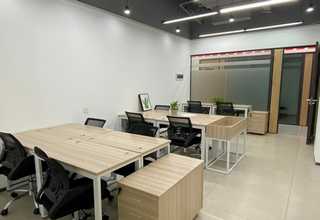 安徽野生城镇绿化苗报价