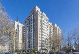 利通区项目短视频推广口碑推荐